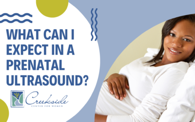 What Can I Expect in a Prenatal Ultrasound?