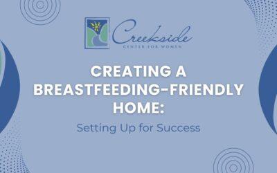 Creating a Breastfeeding-Friendly Home: Setting Up for Success